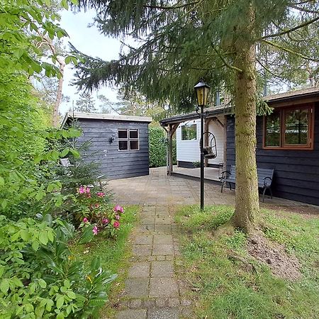 Sfeervol Chalet De Dassenburcht Emst Zewnętrze zdjęcie