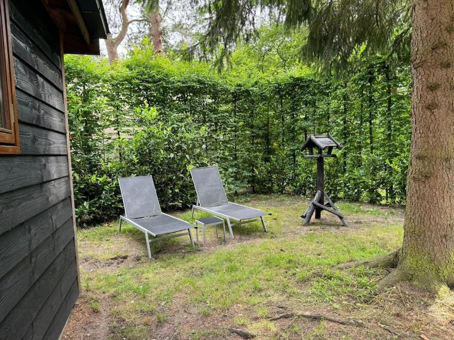 Sfeervol Chalet De Dassenburcht Emst Zewnętrze zdjęcie